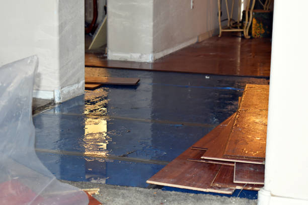 Professional Basement Flood Cleanup technician working in Walls, MS